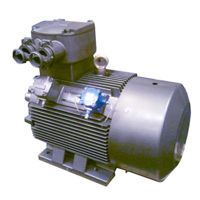 YBE2系列隔爆型高效率三相異步電動機