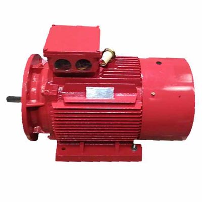 普通電機(jī)能不能改裝為防爆電機(jī)呢？