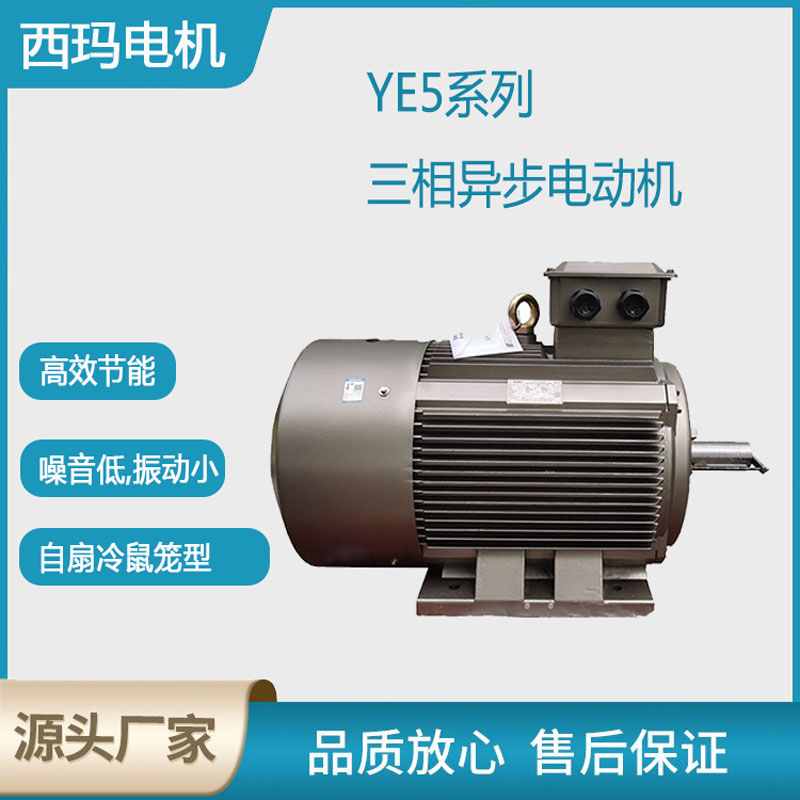 西瑪品牌YE5型號三相異步電動機賞析！