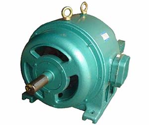 1756716220582553.jpg JR滑環高壓電機300.jpg